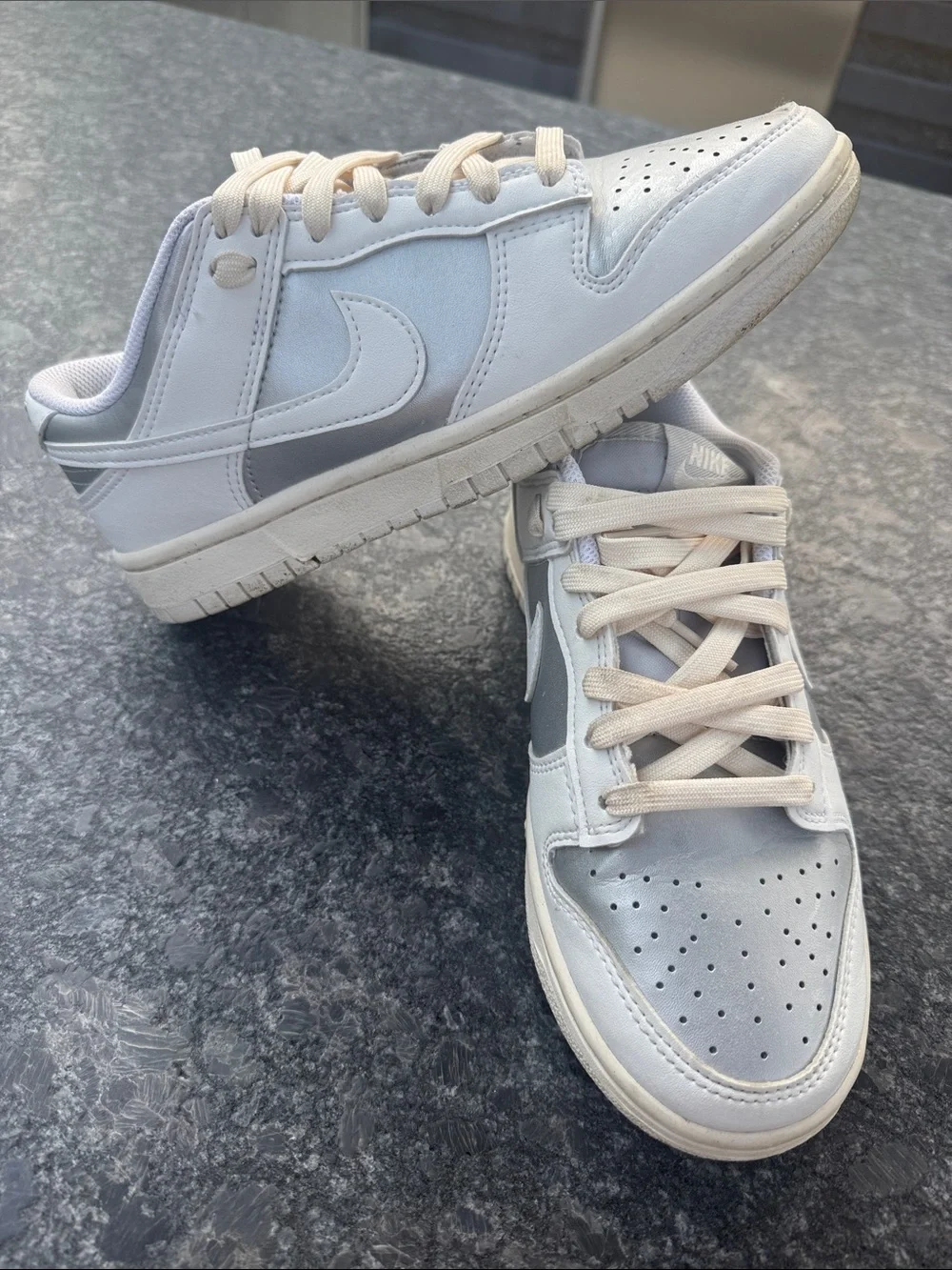 Nike Dunk Low Next Nature - White & Silver